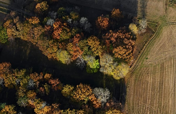 Flygfoto över landskap med åker och skog