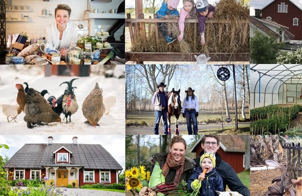 Kollage över deltagare i tävlingen "Din gård"