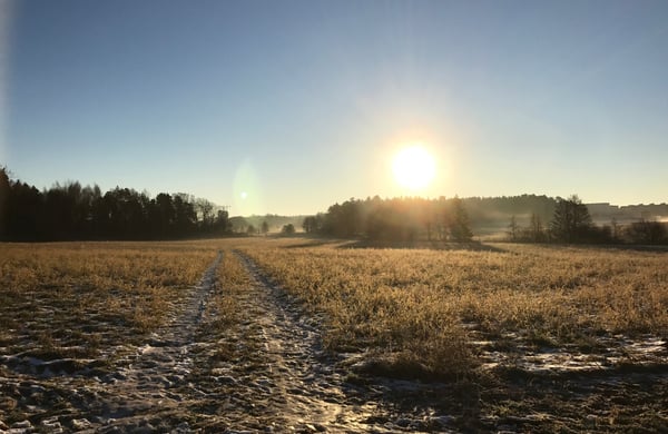 Solen skymtar fram över jordbrukslandskapet
