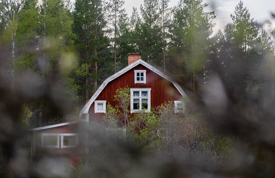 Rött hus intill en skog på sommaren