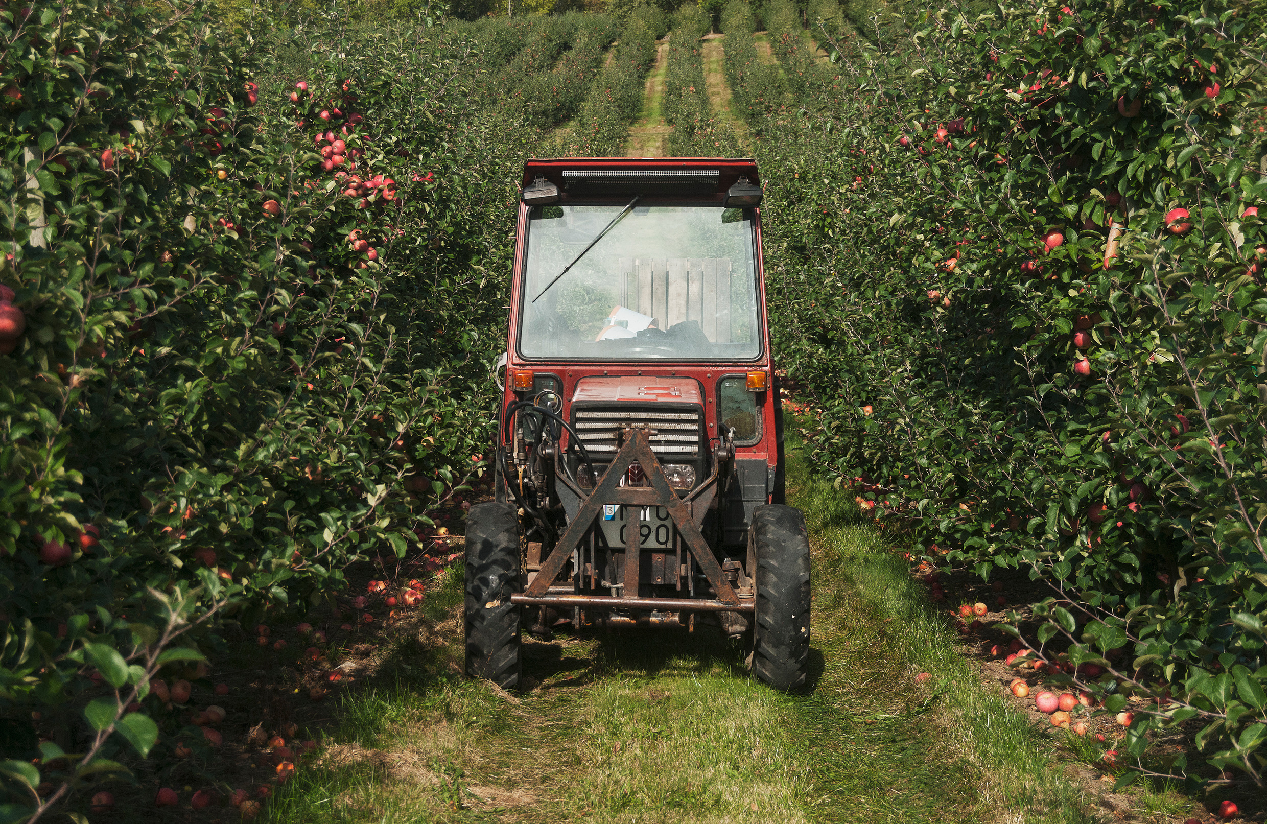 Traktor