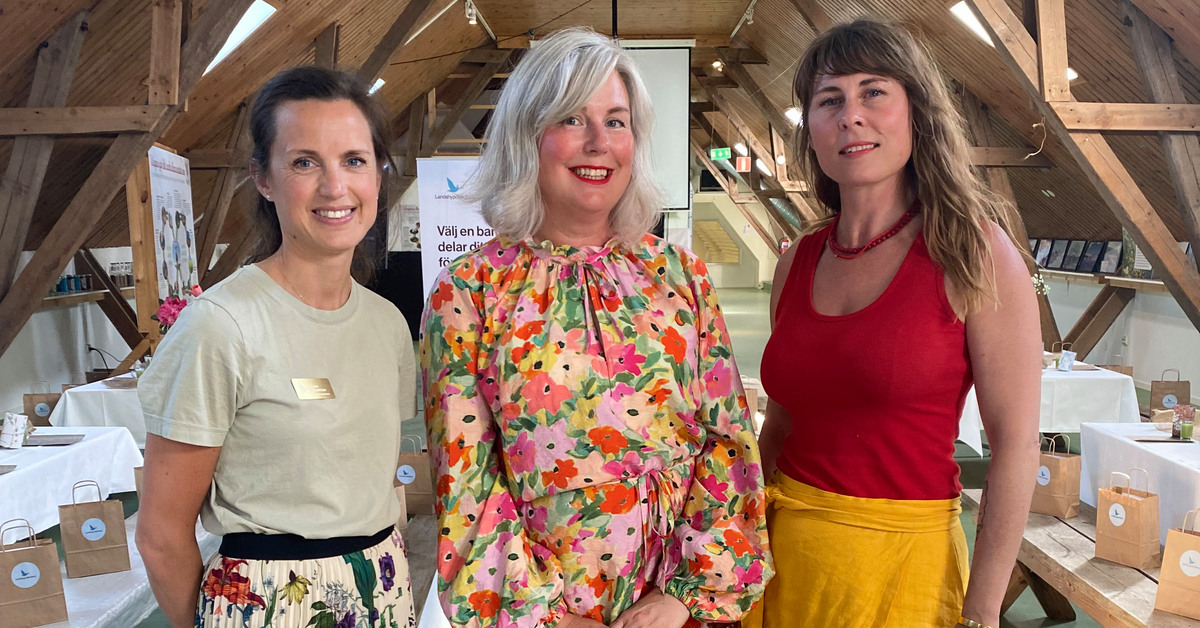 Karin Westman, Hanna Wendelbo-Hansson och Kristin Krickelin Lagerqvist