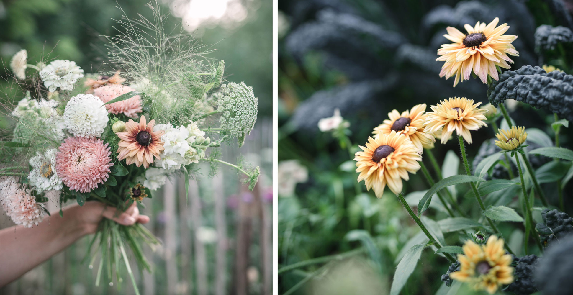 Blommor