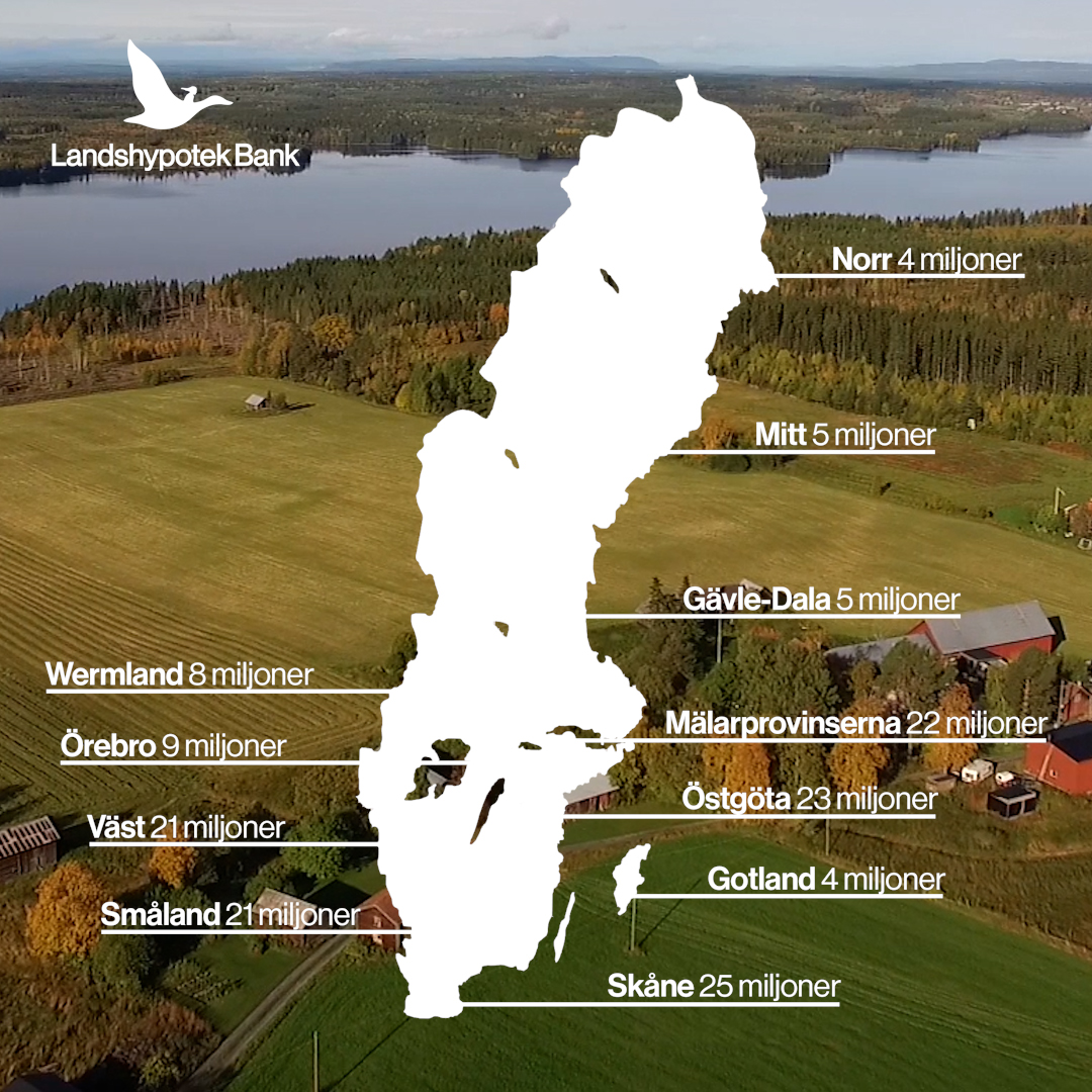 Så fördelas Landshypoteks utdelning över landet