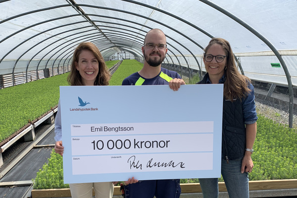 Karin Wijkander, Emil Bengtsson, Elin Ekstrand